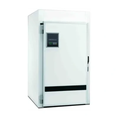 Camera dospire, 2 carucioare